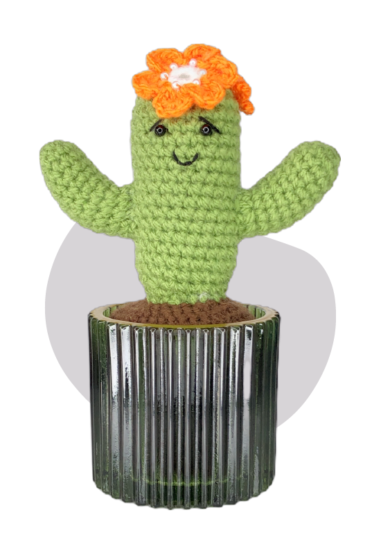 Elegant crochet cactus representing resilience and charm